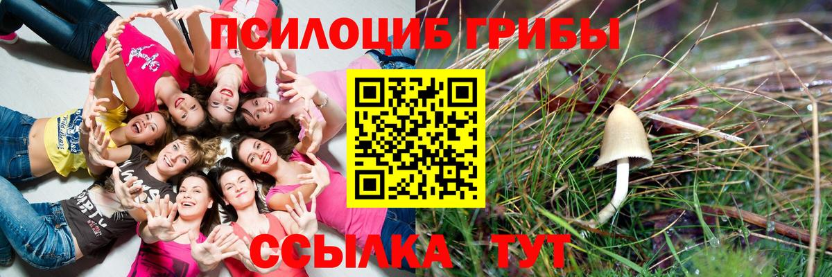 Псилоцибиновые грибы Magic Shrooms Батайск
