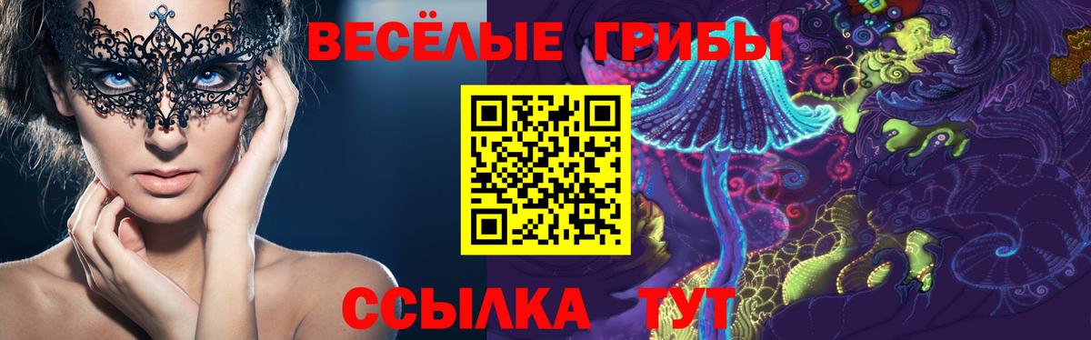 Галлюциногенные грибы GOLDEN TEACHER  Вход с VPN  Батайск 
